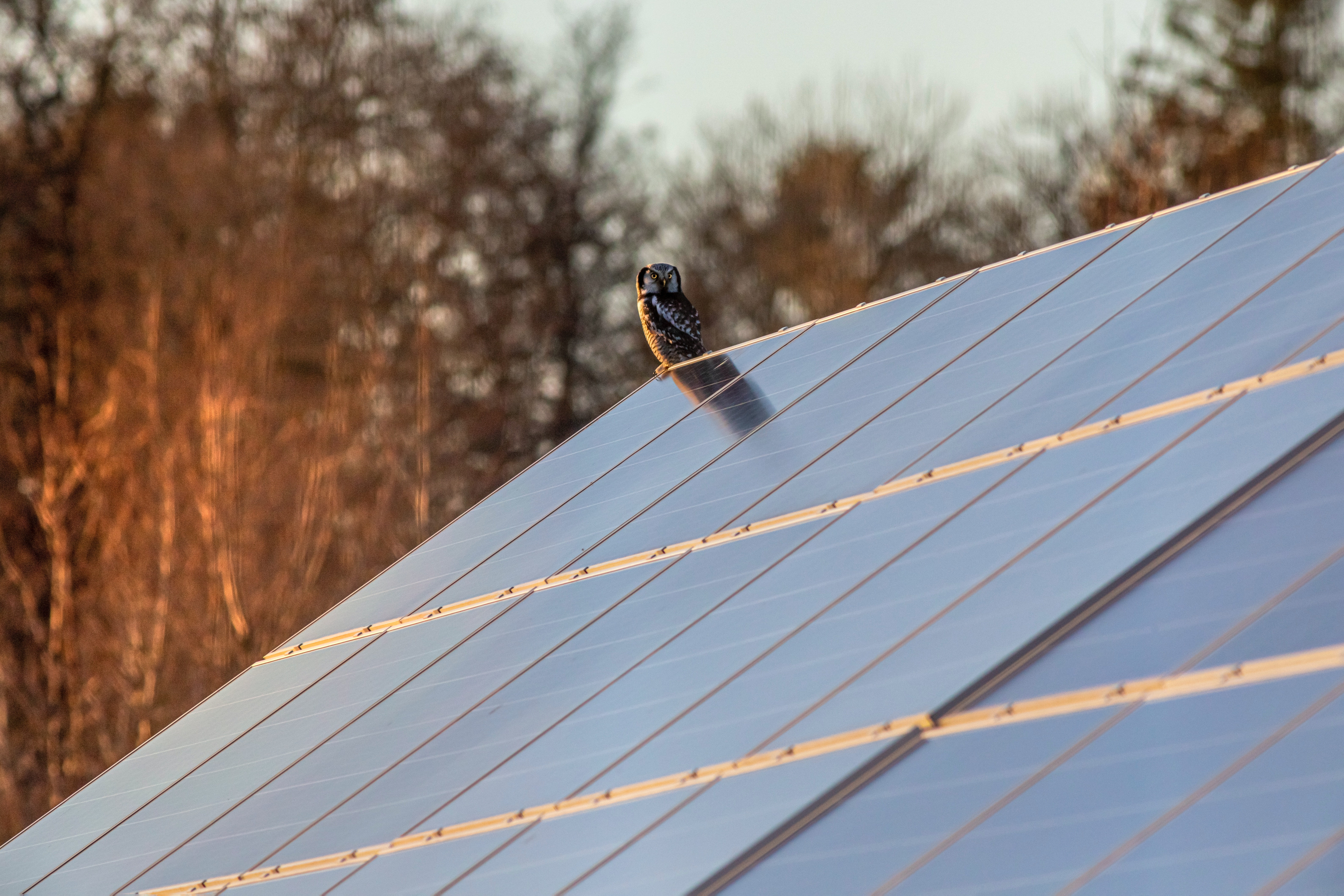 Solar Panel Installation | Oxted | Surrey