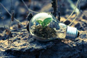 green energy: lightbulb with a plant inside